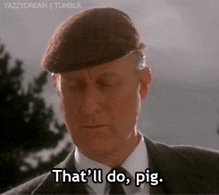 Reaction gif captioned 'that'll do, pig'
